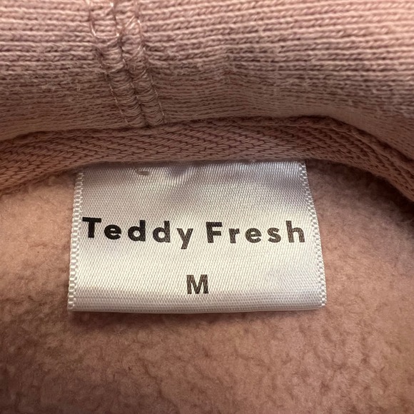 Teddy‎ Fresh Streetwear Pink Rainbow YouTube Merch Hoodie Sweatshirt Size M - Picture 2 of 9